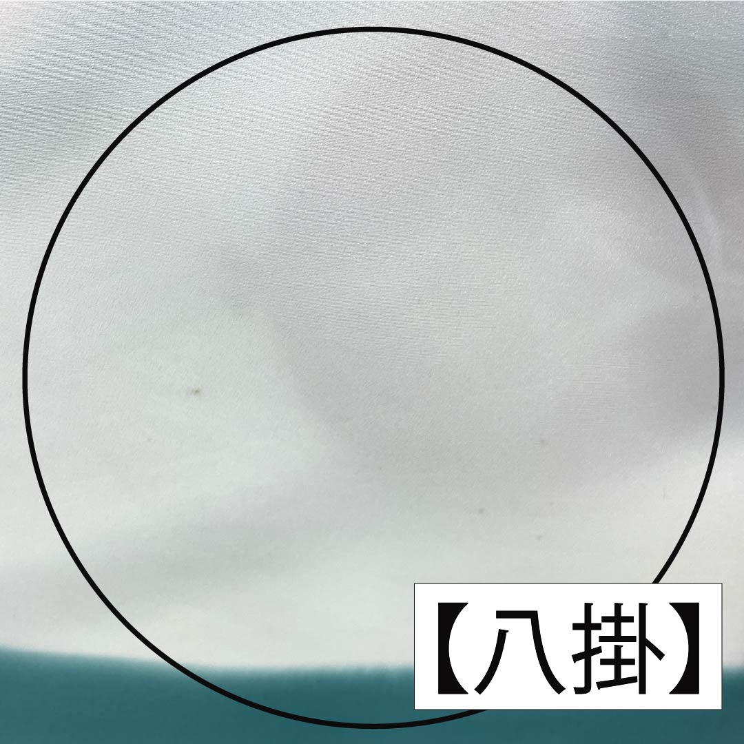 訪問着 ポリエステル Aランク 胴抜き 身丈156cm 裄丈64cm 薄水色(うすみずいろ) 半衿付き 踊り衣装 紗綾形 緑系 1112006383319