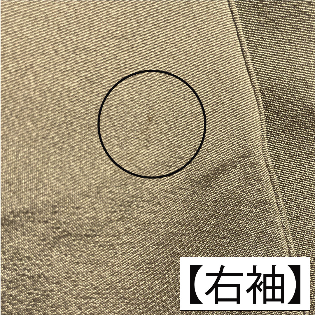 彩色留袖、纯丝、长度161厘米、袖长66厘米、衬里、壁灰色、京加贺友禅、暗襟、山水纹、三个徽章、常春藤、A级、棕色、1111001403414