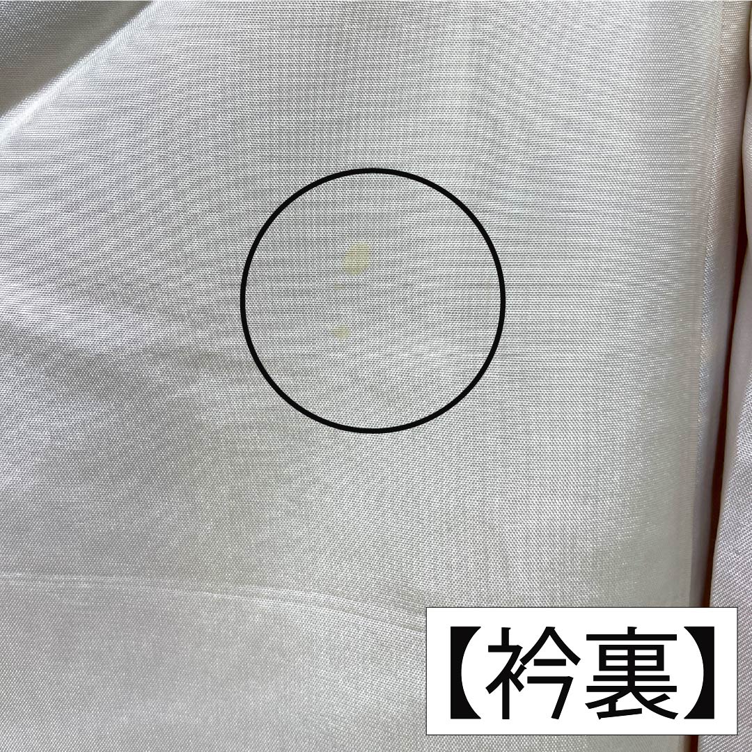 振袖 正絹 Aランク 身丈161cm 裄丈62.5cm 袷 薄柑子色(うすこうじいろ) 京紅型 牡丹 藤 ちりめん地 橙系 1113002403426