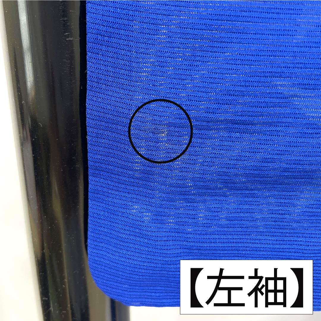 夏物 正絹 訪問着 Aランク 身丈157.5cm 裄丈64cm 瑠璃色(るりいろ) 付下げ 草花模様 京友禅 絽 青系 1132003753317
