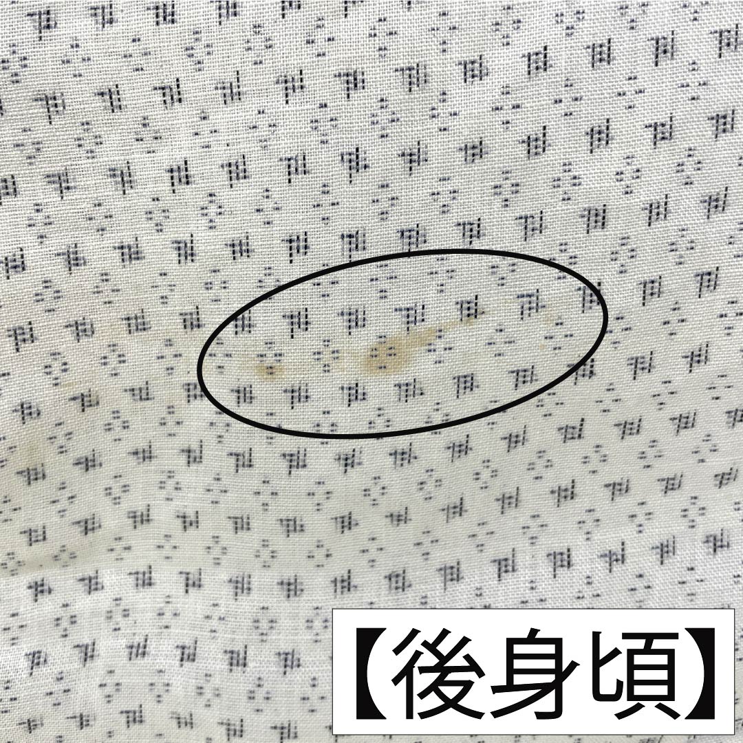 夏物 麻 男物 Bランク 身丈141cm 裄丈68cm 能登上布 絣柄 紗 白系 1132006454411