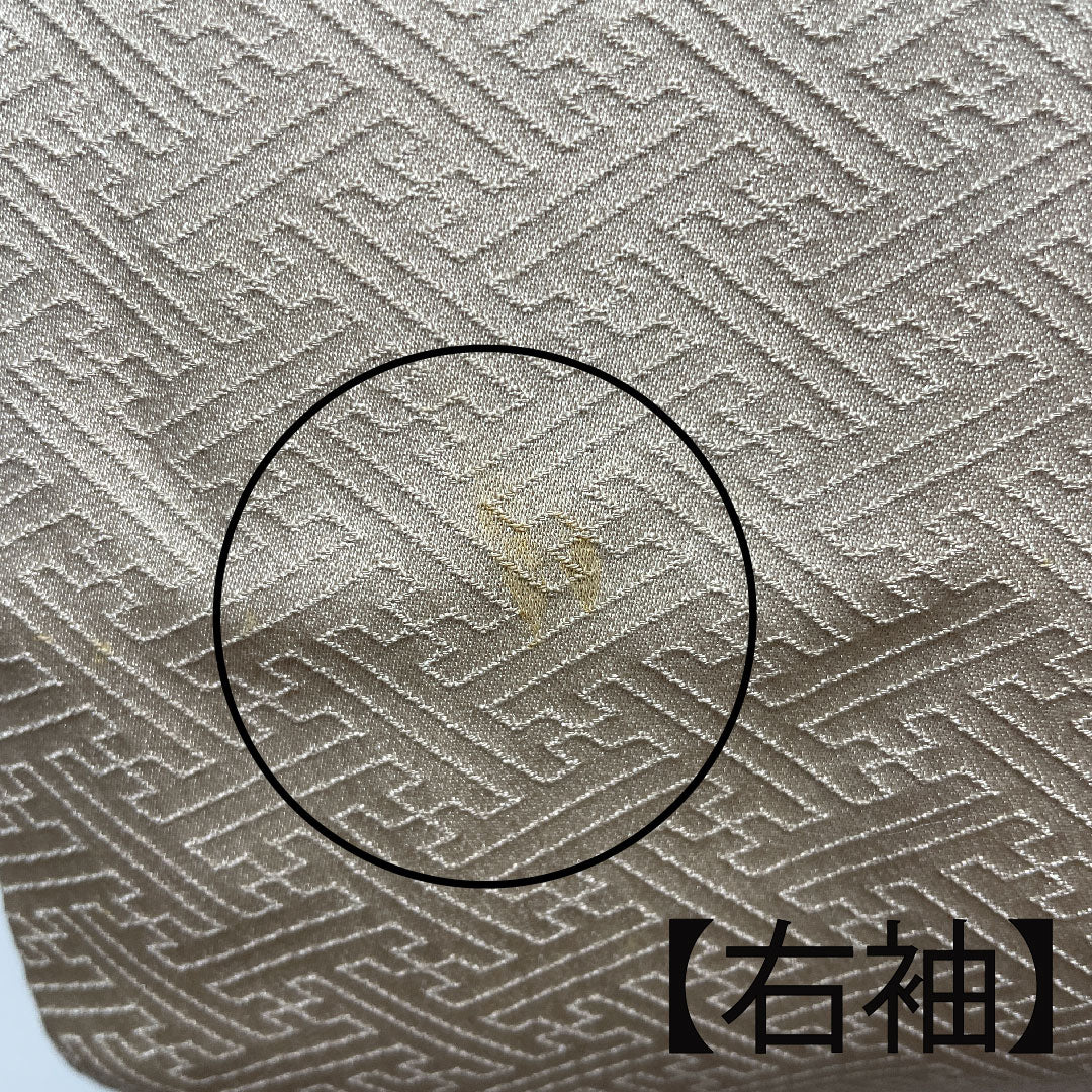 訪問着 袷 身丈153.5cm 裄丈62.5cm 白橡色 刺繡 絞り 扇 正絹 Bランク クリーム系 1112002194215