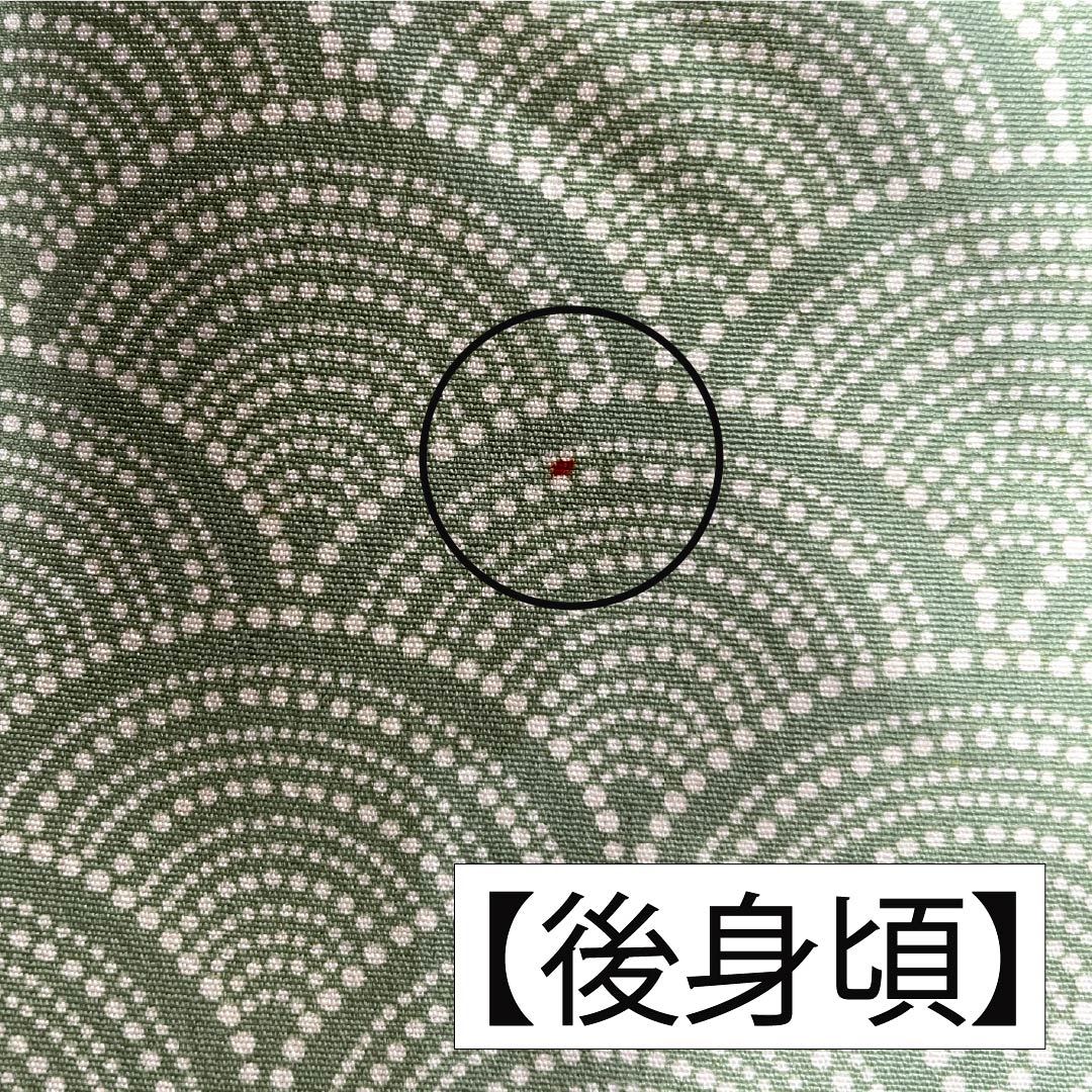 Komon (small pattern) kimono, pure silk, A rank, length 161.5cm, sleeve length 66.5cm, lined, light green (asamidoriiro), stencil dyed, Seigaiha (wave pattern), one-sided, green-based design, product number 1115006553419