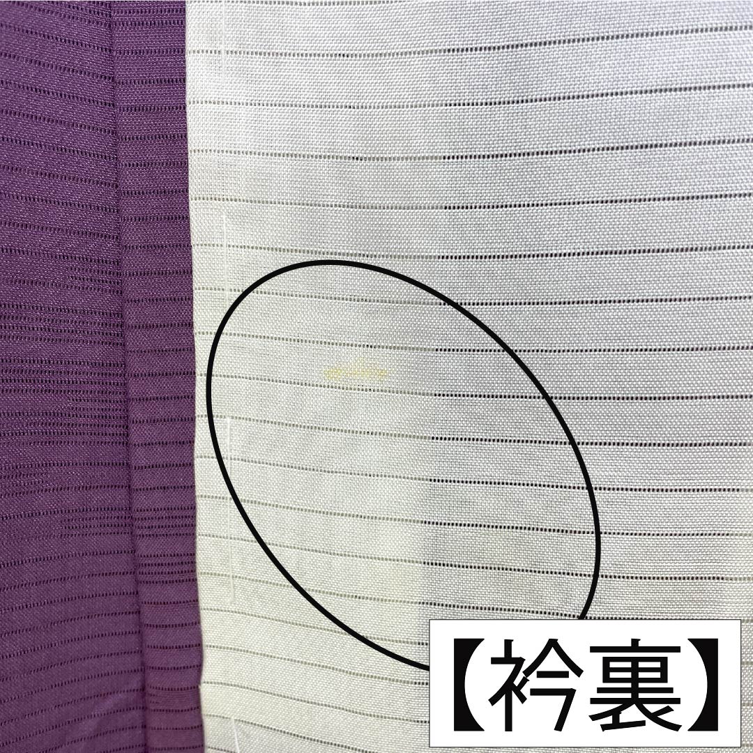 夏物 正絹 色無地 Aランク 身丈158.5cm 裄丈65cm 半色(はしたいろ) 丸に剣片喰 一つ紋 霞模様 絽 紫系 1132003853320