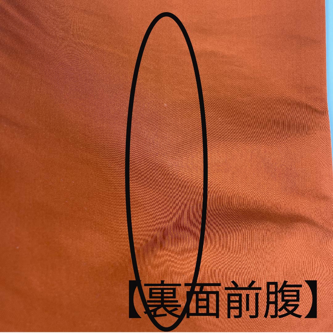 Fukuro Obi (Sash) in Shoujo Chairo (Scarlet Brown) with Floral Pattern, Tortoise Shell, Shirayaen Oba, Length 420cm, Pure Silk, A Rank, Six-Pass, Formal, Orange, 1123008893326