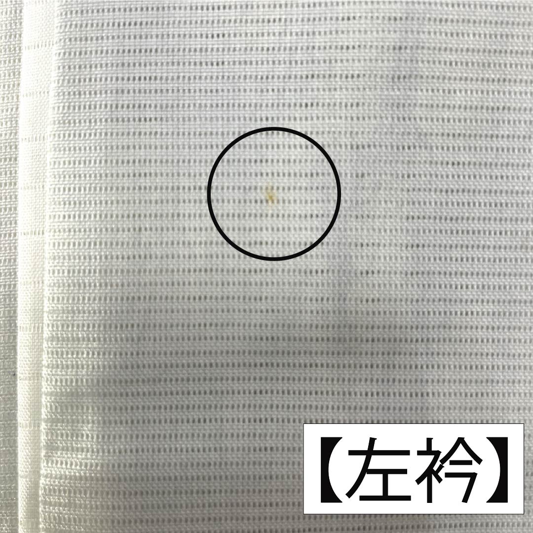 夏物 ポリエステル 訪問着 身丈165cm 裄丈65.5cm 墨流し染 洗える着物 絽 Aランク 水色系 1132002233524
