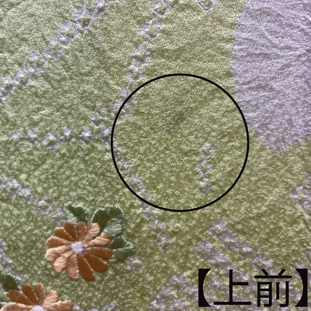 Homongi, pure silk, lined, length 162.5cm, sleeve length 62cm, young bud color, embroidery, tie-dye, hemp leaf, A rank, green, 1112003433419