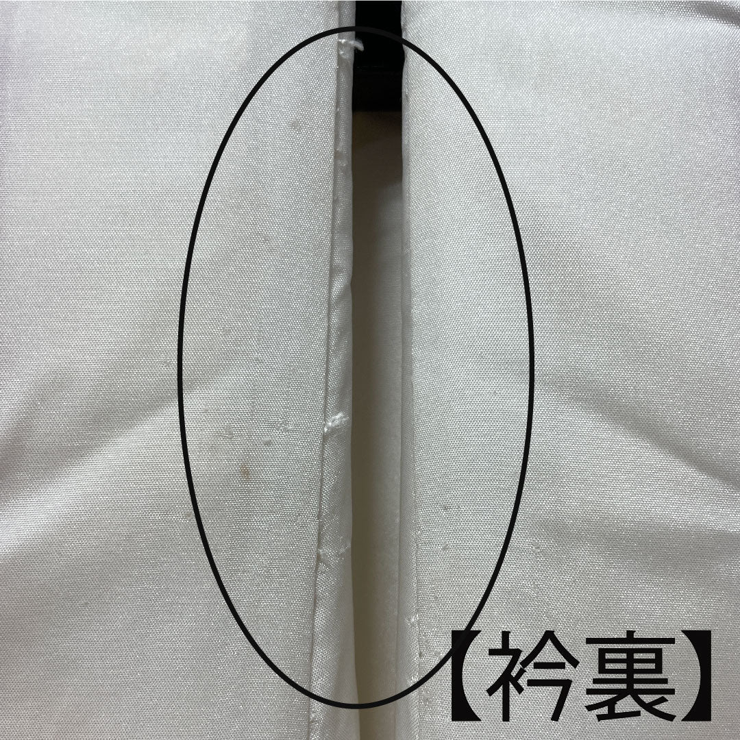 白無垢 身丈191cm 唐織 春爛百花紋 正絹 Bランク 袷 白系 1110000544911