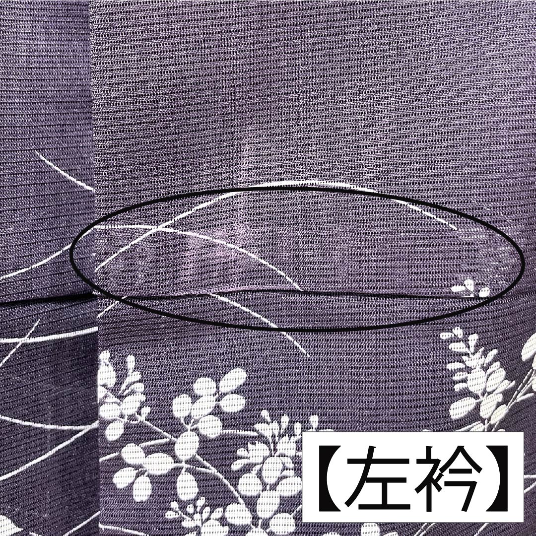 夏物 ポリエステル 小紋 身丈158cm 裄丈63cm 紫烏色(しうしょく) 露芝 草花 洗える着物 絽 Bランク 紫系 1132002044320