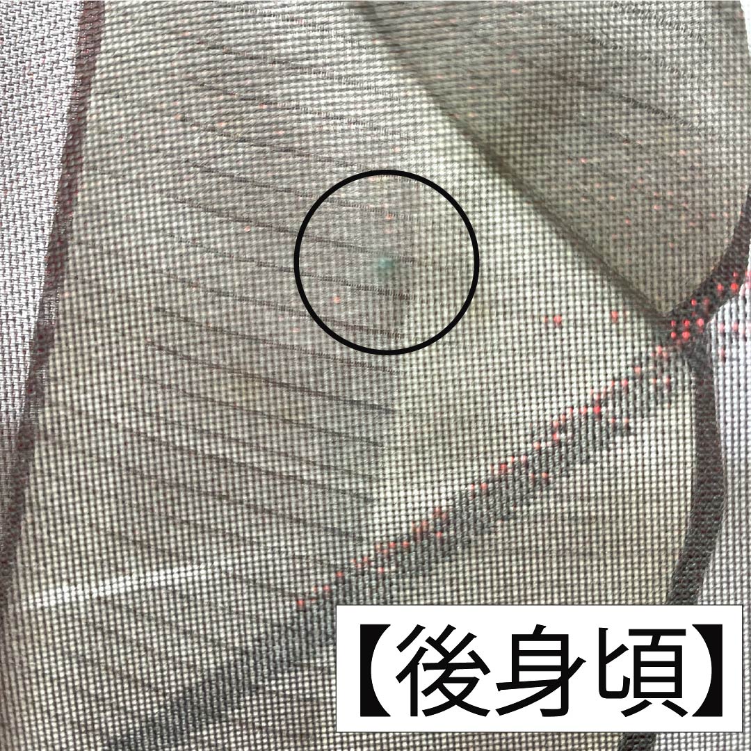 夏物 正絹 お召 Bランク 身丈155.5cm 裄丈62.5cm 暗紅色(あんこうしょく) 露芝 草花模様 紗 赤系 1132004264312