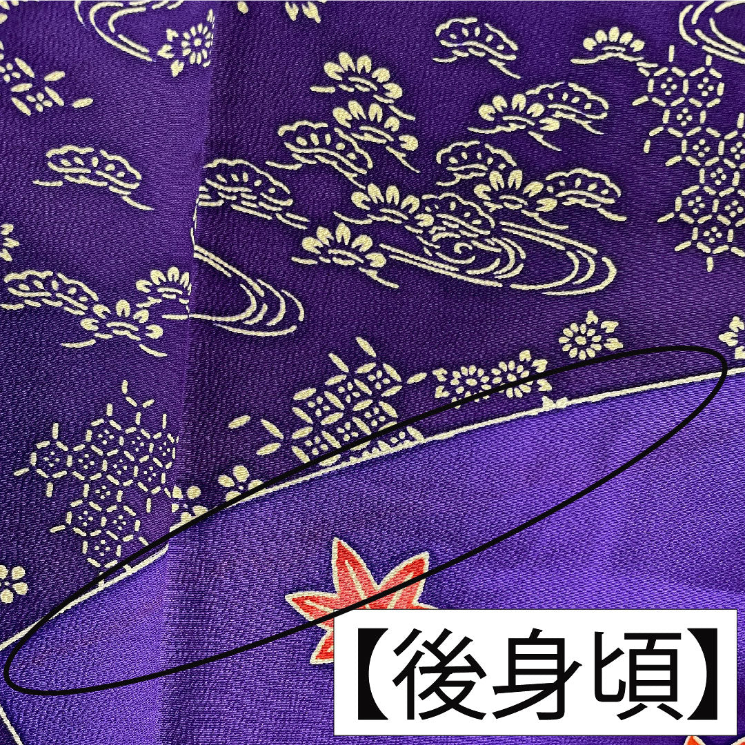 Furisode (long-sleeved kimono) made of pure silk, length 164.5cm, sleeve length 66cm, lined, bellflower color, violet color, Kyoto Bingata, auspicious motif, half-collar, B rank, purple, 1113002014420