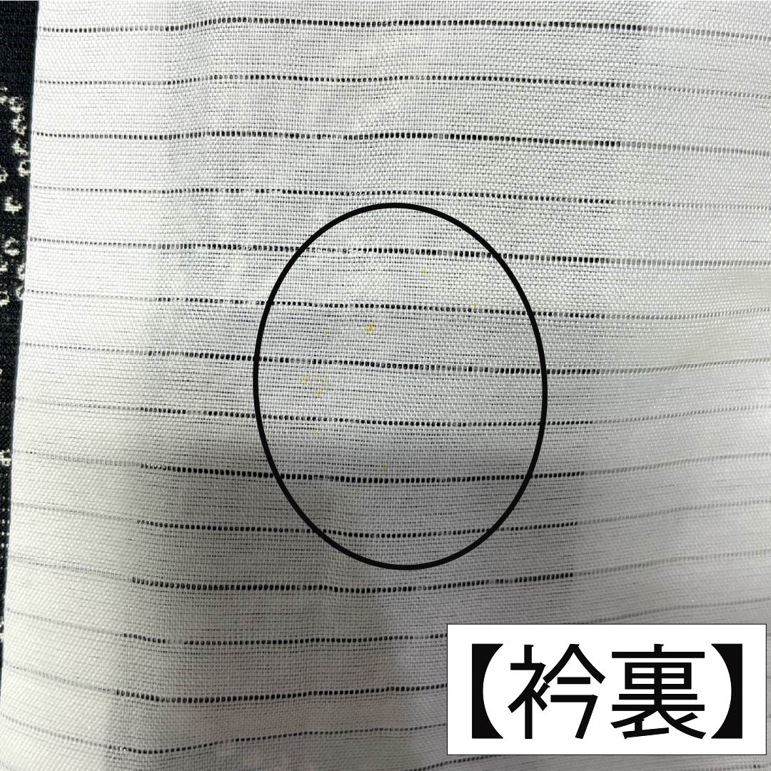 夏物 ポリエステル 小紋 Aランク 身丈161.5cm 裄丈66cm 風景模様 洗える着物 絽 黒系 1132005153410