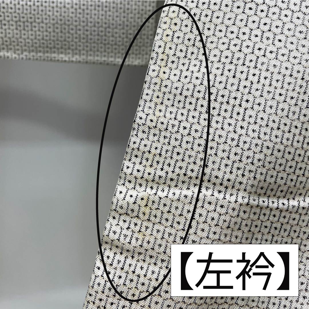 訪問着 正絹 Aランク 袷 身丈152cm 裄丈62cm 生成り色(きなりいろ) 白大島 100亀甲 縫い紋 丸に違い鷹の羽 古典柄 白系 1112006173211