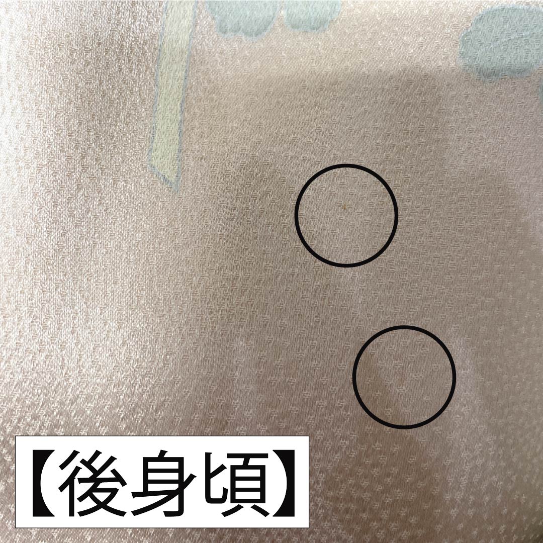 訪問着 正絹 Sランク 袷 身丈158cm 裄丈63cm 乙女色(おとめいろ) 京友禅 草花 重ね衿付き ピンク系 1112006532313