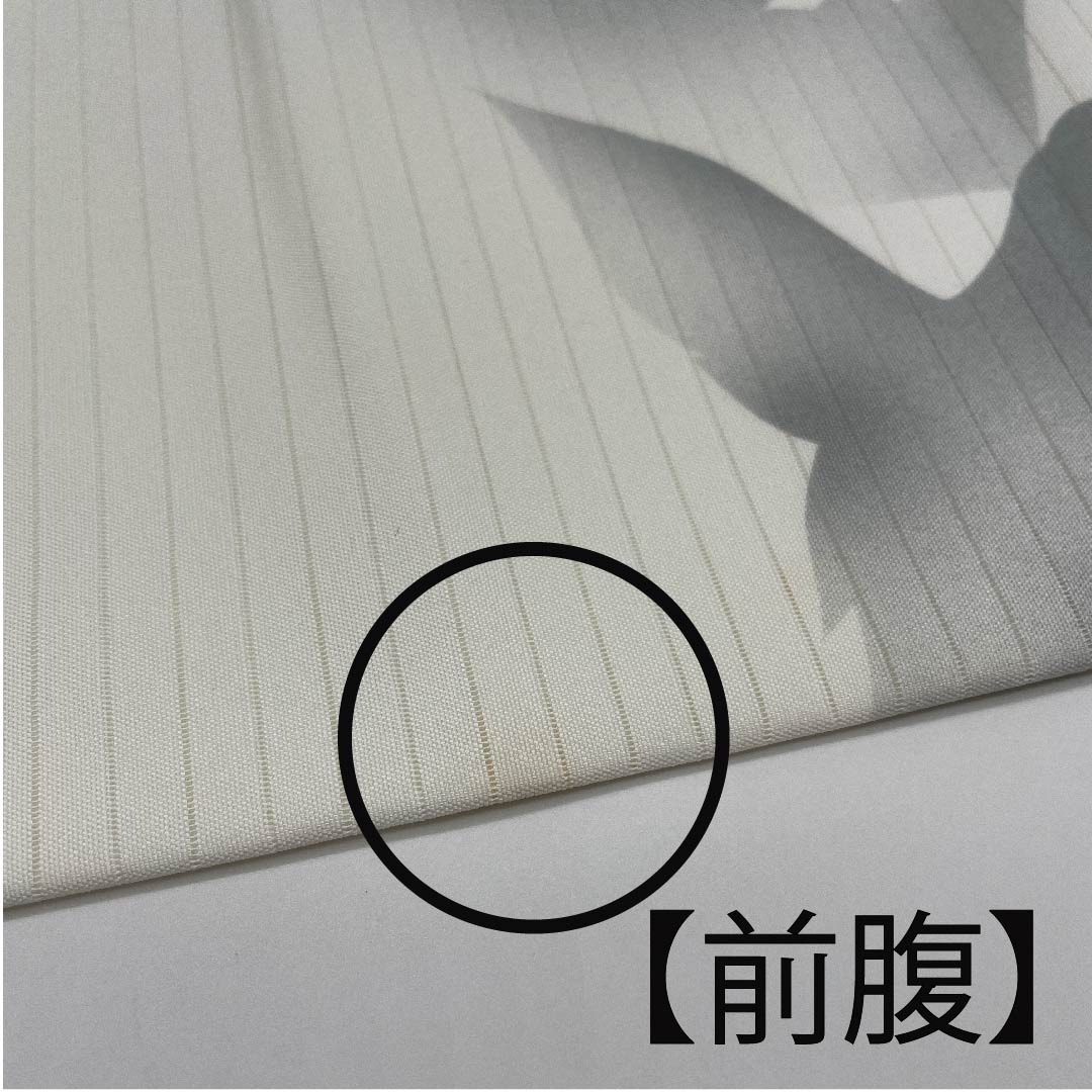 名古屋帯 白色 夏帯 絽 牡丹 染帯 帯丈373cm 正絹 Bランク ポイント柄 カジュアル 白系 1124004504311 名古屋仕立て