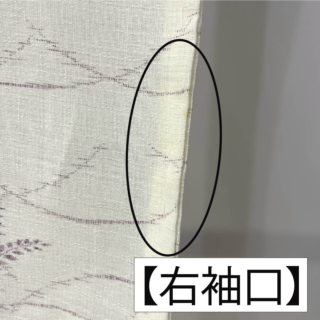 Summer linen tsumugi (pongee) kimono, length 165cm, sleeve length 69cm, milky white (nyuhakushoku) Ojiya-chijimi (Ojiya-style silk) with floral and gauze patterns, rank A, white, product number 1132002683511