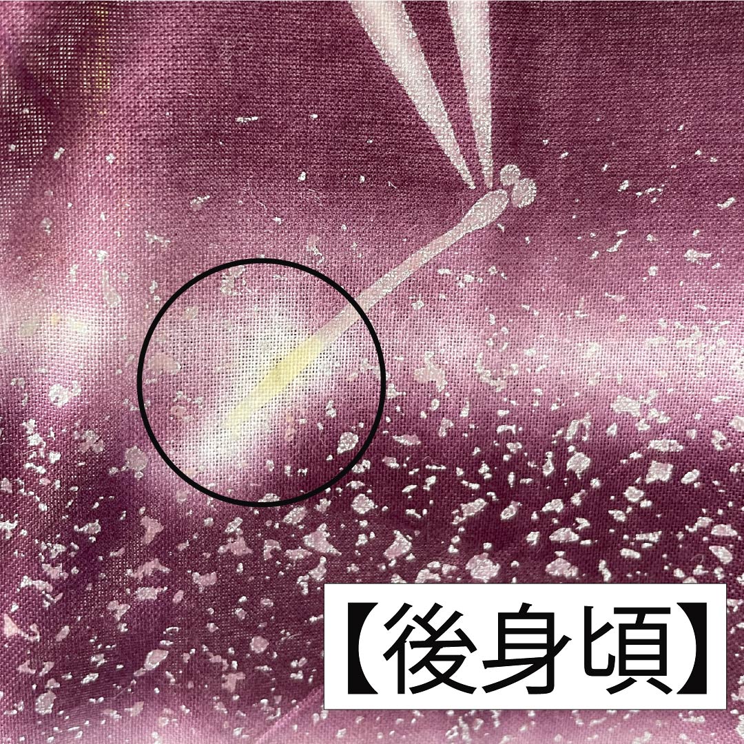 Cotton Yukata, Length 165cm, Sleeve Length 67.5cm, Rank A, Single Layer, Purple with Mulberry Color, Dragonfly Design, Kansai Yamamoto, Product Number 1118006293520