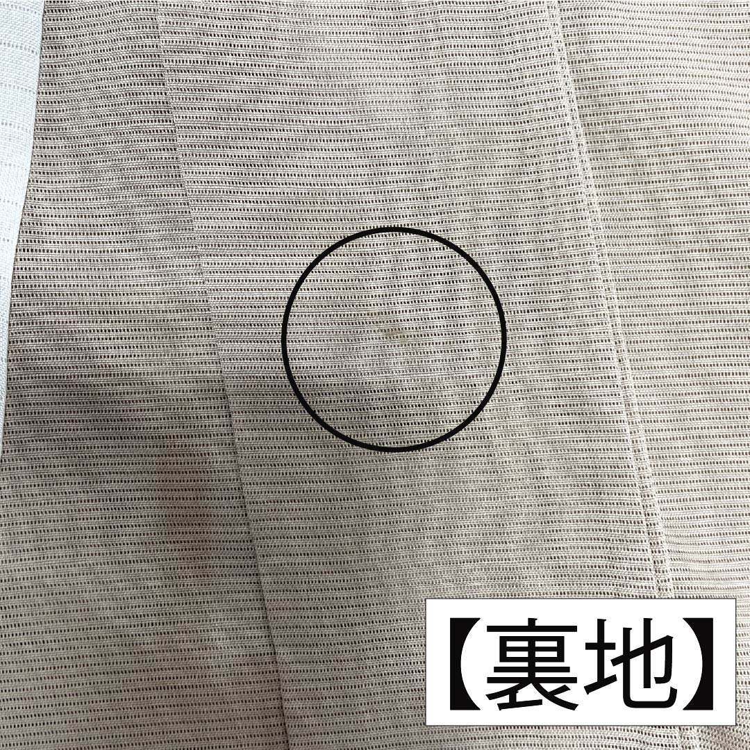 夏物 正絹 訪問着 身丈157cm 裄丈63cm 薄香色(うすこういろ) 草花模様 京友禅 絽 Sランク ベージュ系 1132002752325