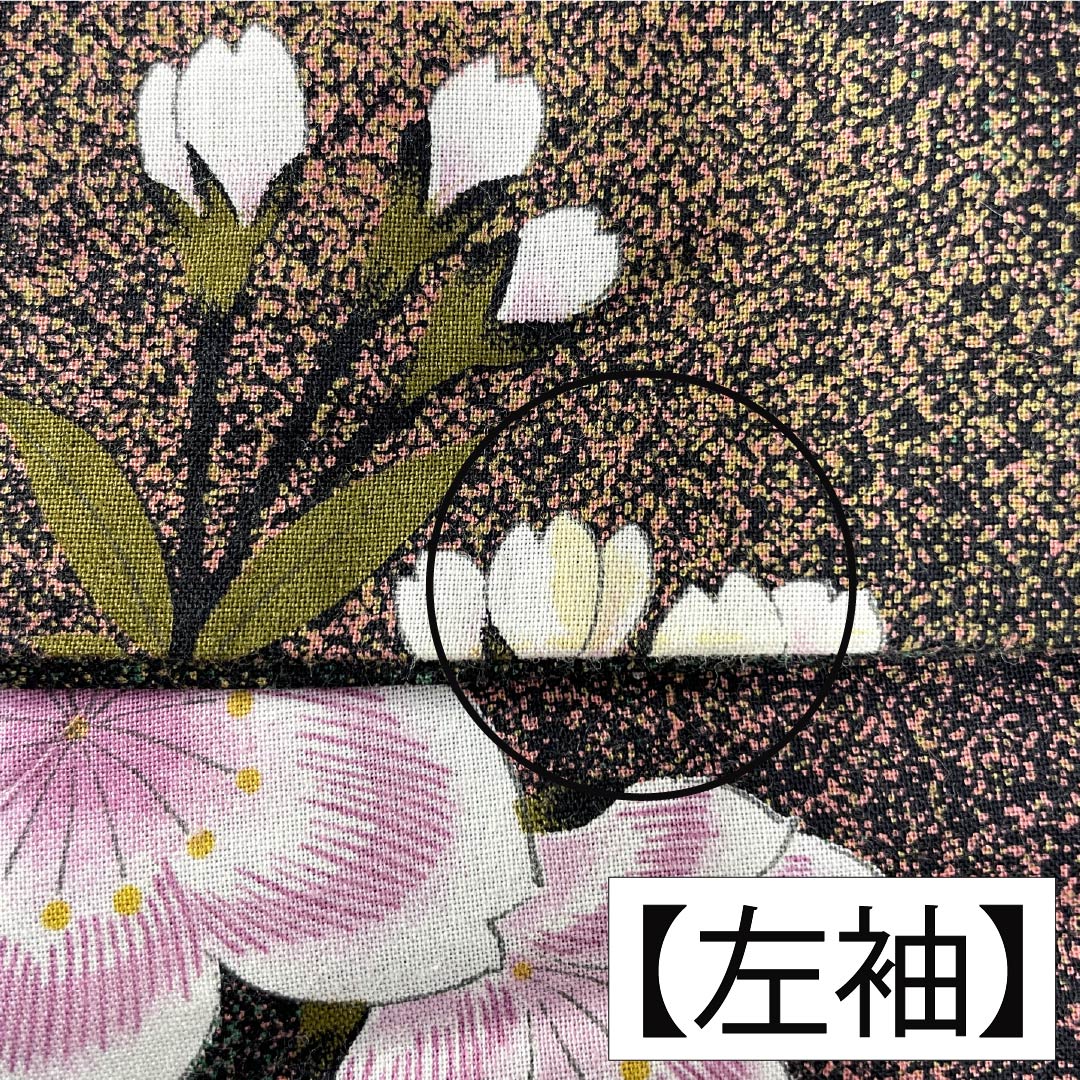 浴衣 木綿 身丈162cm 裄丈68cm Bランク 単衣 グラデーション系 萌葱色(もえぎいろ) 長春色(ちょうしゅんいろ) 桜 1118005984499