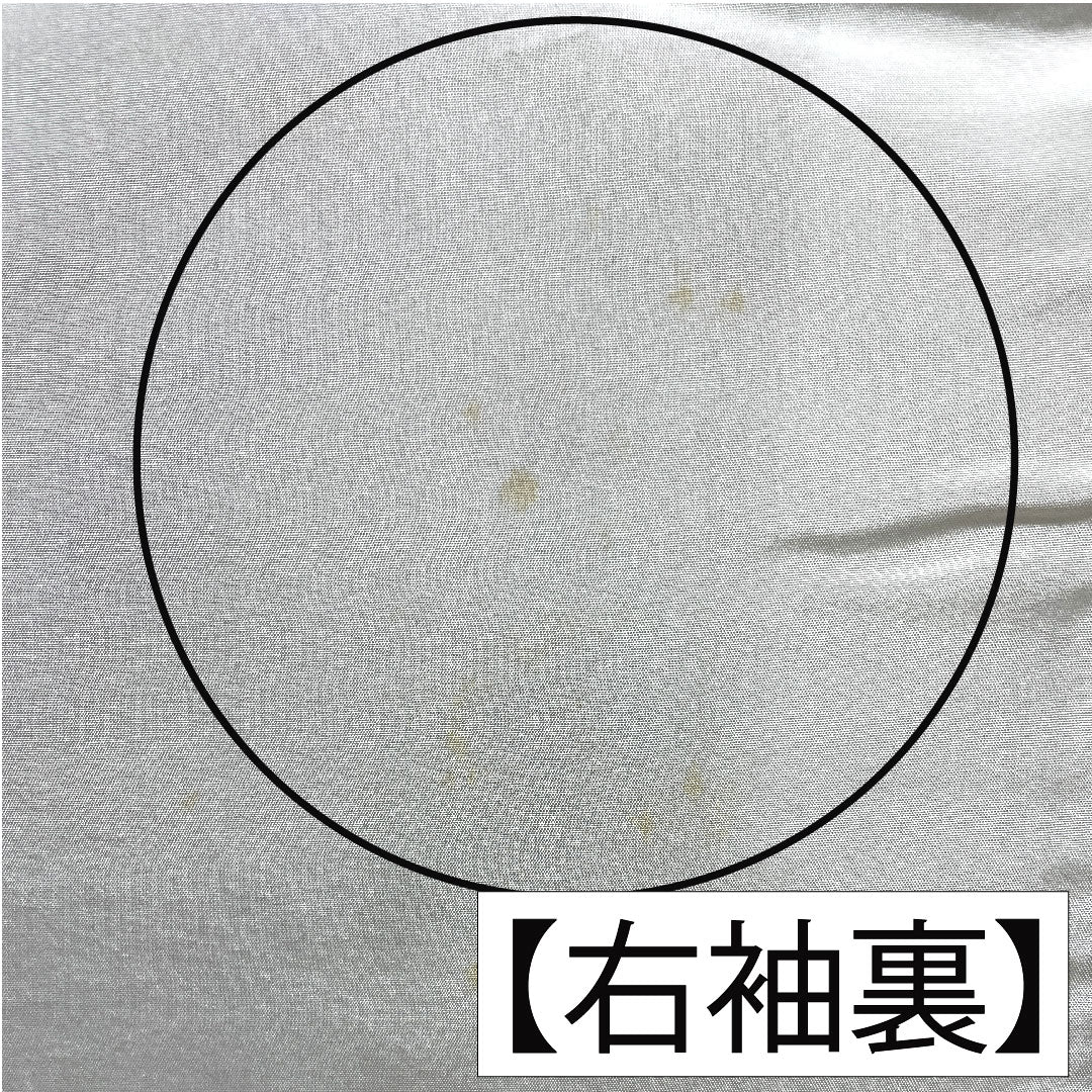 訪問着 正絹 袷 身丈151cm 裄丈61cm 硫黄色)いおういろ) 京友禅 草花模様 一つ紋 三ツ割藤 Aランク 緑系 1112005593219