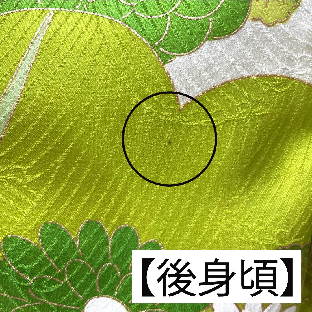 訪問着 正絹 Aランク 袷 身丈162cm 裄丈63.5cm 京友禅 松 菊 白系 1112006353411