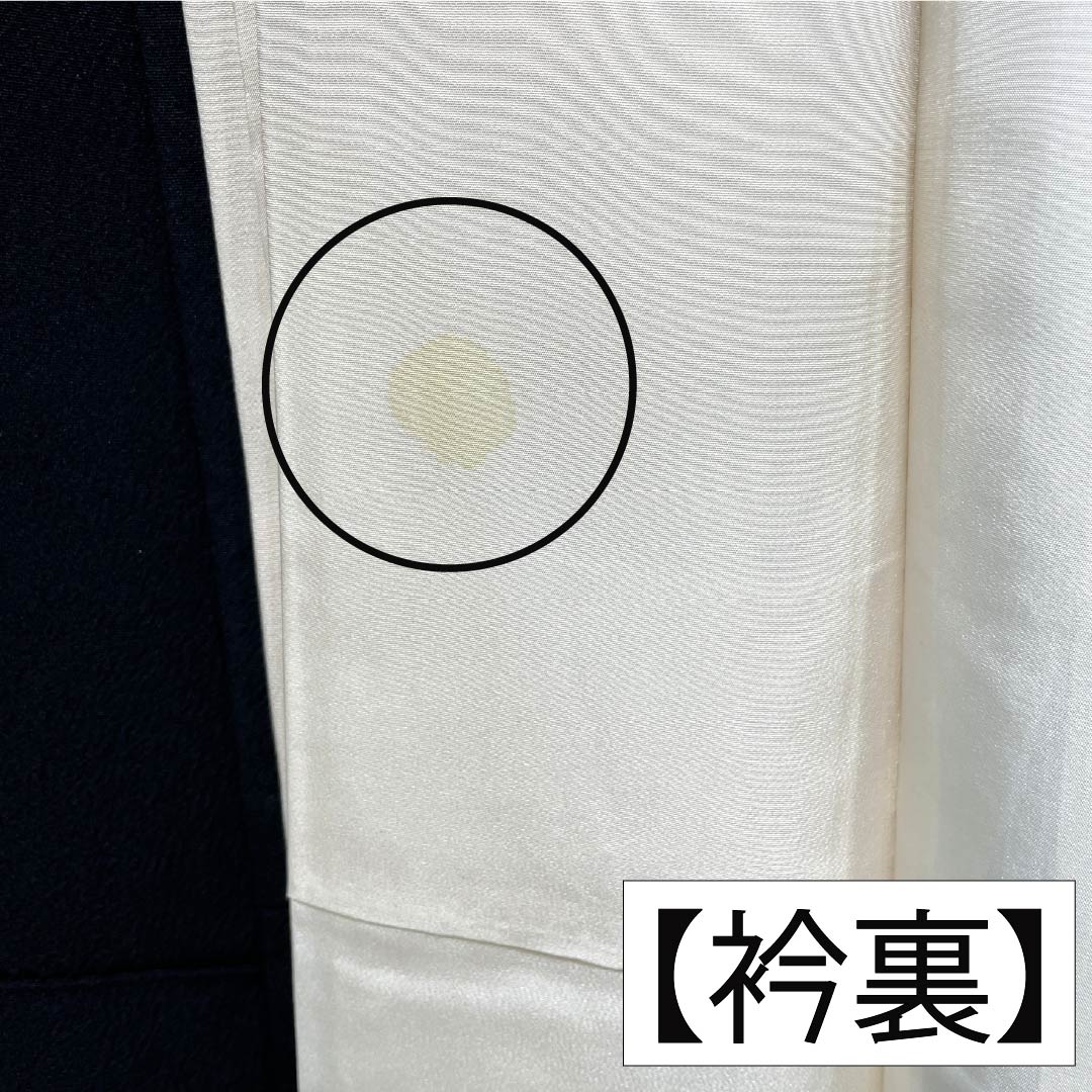 Black Tomesode (Tomesode) - Pure Silk, Grade A, Length 158.5cm, Sleeve Length 64cm, Lined, Gold-colored, Five Crests, Wisteria Design, Bundled Noshi, Five Crests, Black, Item Number 1111002043310