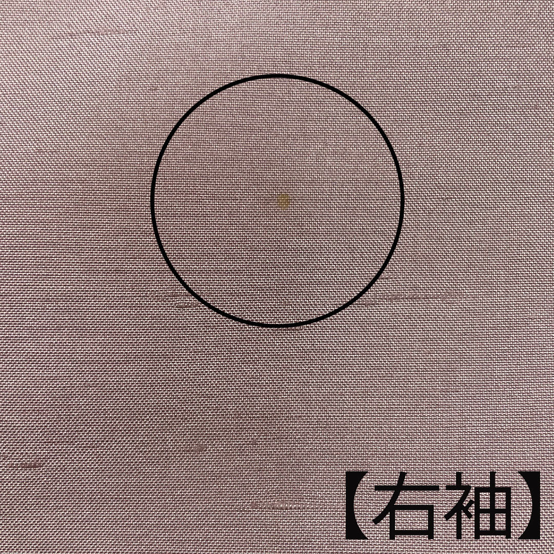 訪問着 袷 身丈153cm 裄丈63cm 葡萄色 牛首紬 白山工房 おぼろ染 正絹 Aランク 紫系 1112001813220