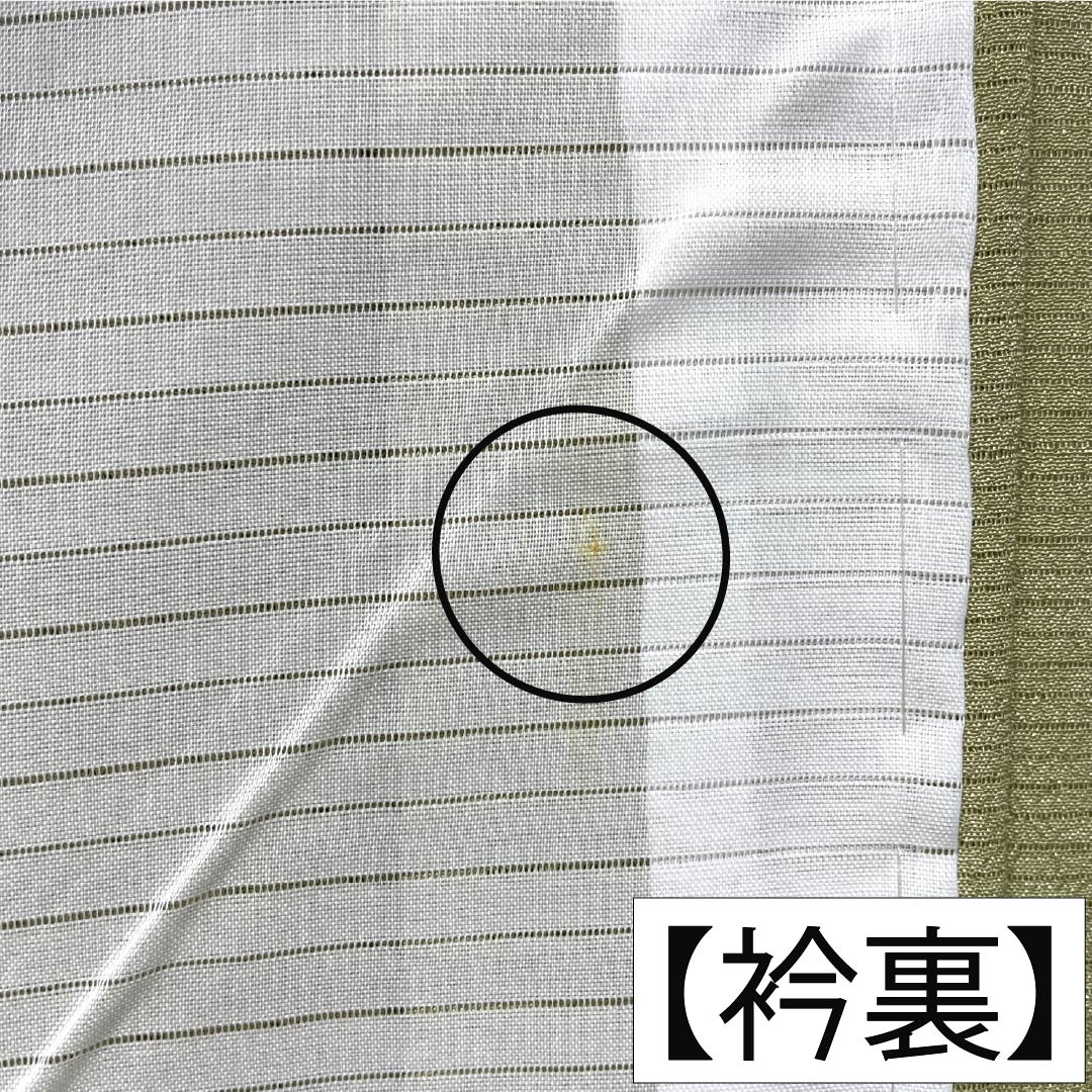 夏物 正絹 色無地 Aランク 身丈166cm 裄丈67cm 裏柳色(うらやなぎいろ) 素無地 居敷当て付き 絽 緑系 1132005683519