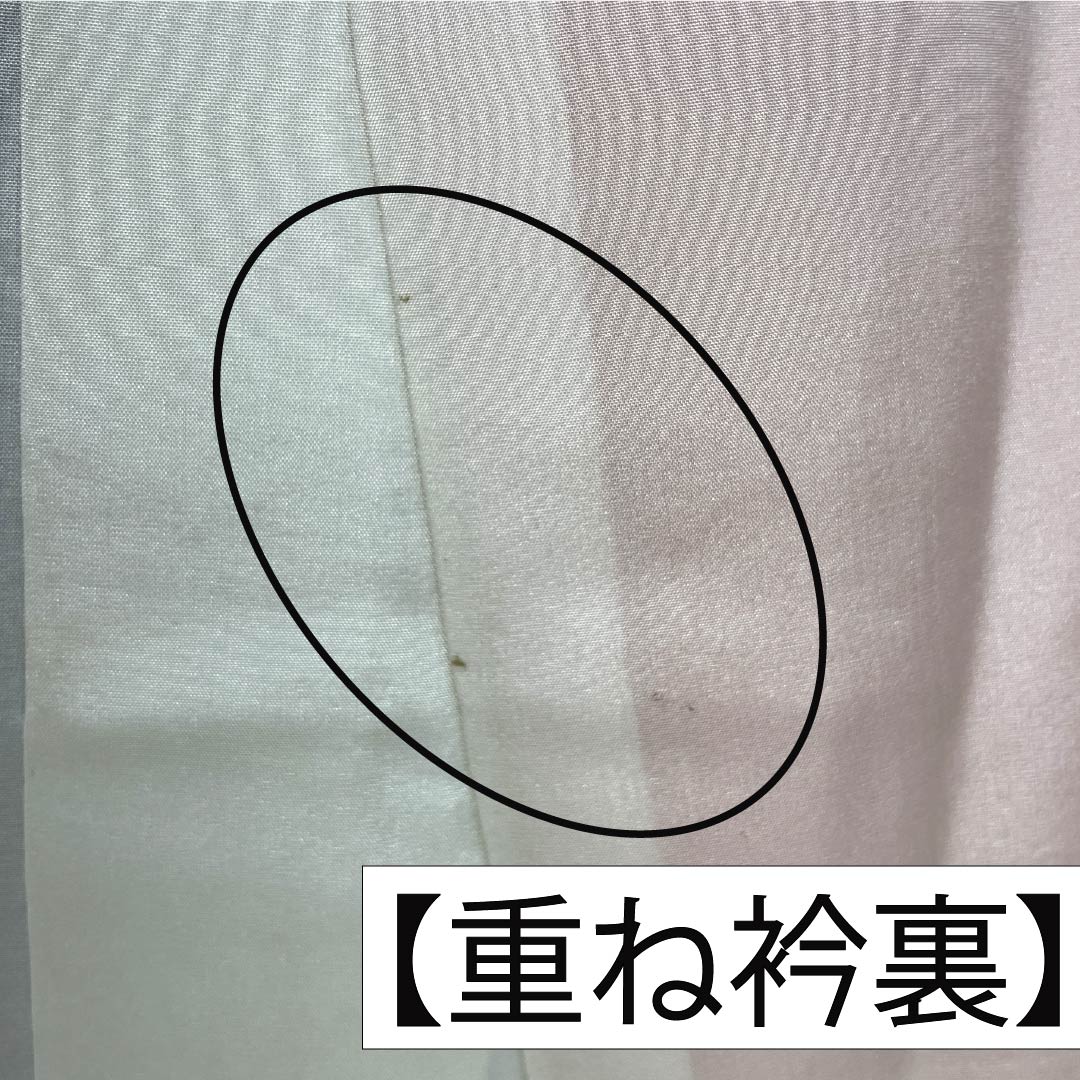振袖 正絹 Aランク 身丈153cm 裄丈60.5cm 袷 型染 吉祥文様 梅 菊 ちりめん地 重ね衿付き 青系 1113002233217