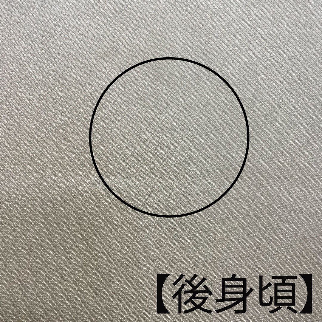 訪問着 袷 身丈162cm 裄丈64cm 肌色 京友禅 刺繡 草花模様 正絹 Bランク クリーム系 1112001614415