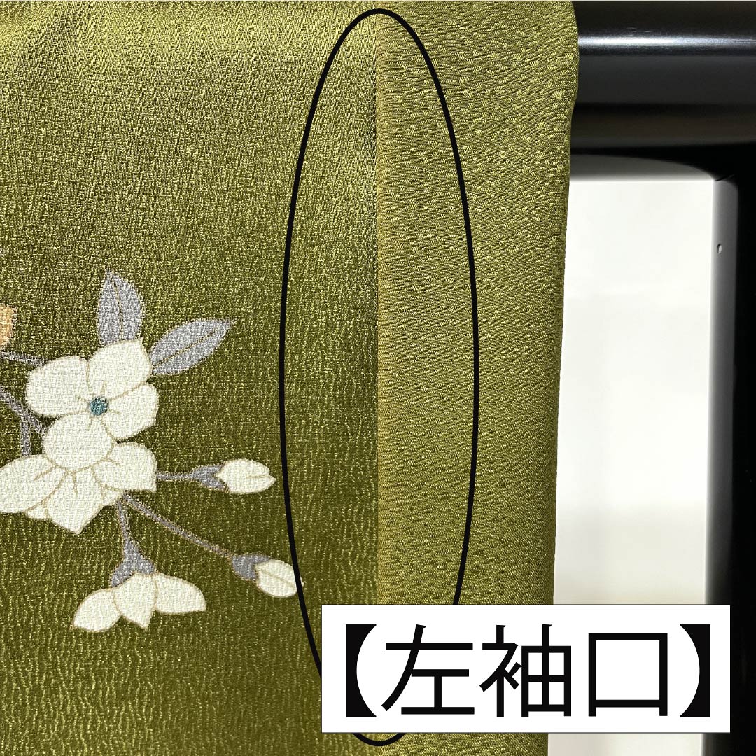 訪問着 正絹 Aランク 袷 身丈162cm 裄丈60.5cm 威光茶色(いこうちゃいろ) 京友禅 草花 緑系 1112007593419