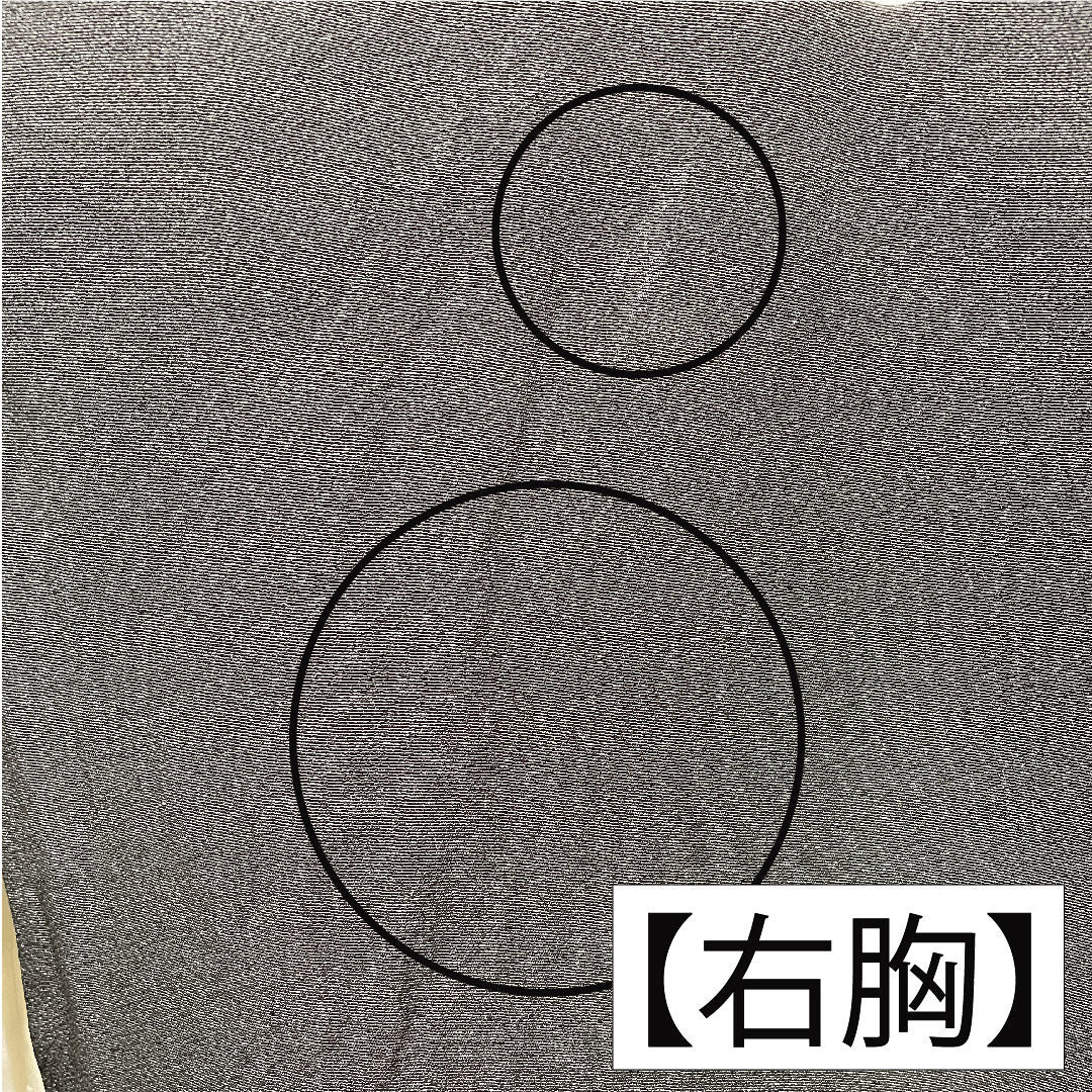 Black formal kimono, pure silk, length 162cm, sleeve length 64cm, lined, gold leaf embroidery, crane, five crests, three oak leaves in a circle, B grade, black, 1111001444410