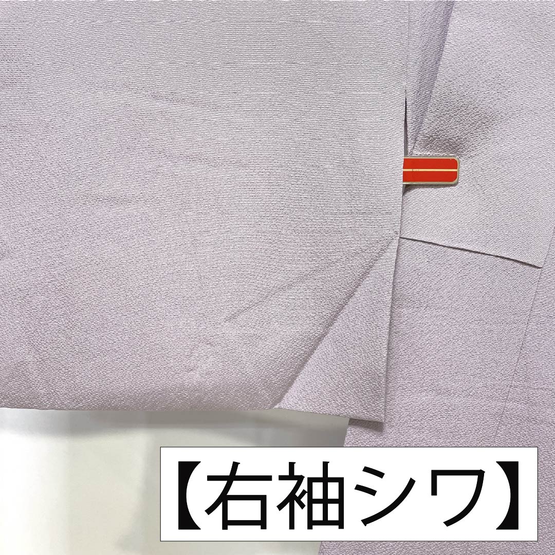 訪問着 正絹 Sランク 袷 身丈165cm 裄丈64.5cm 蒲萄色(えびいろ) 京友禅 辻ヶ花 紫系 1112007222520