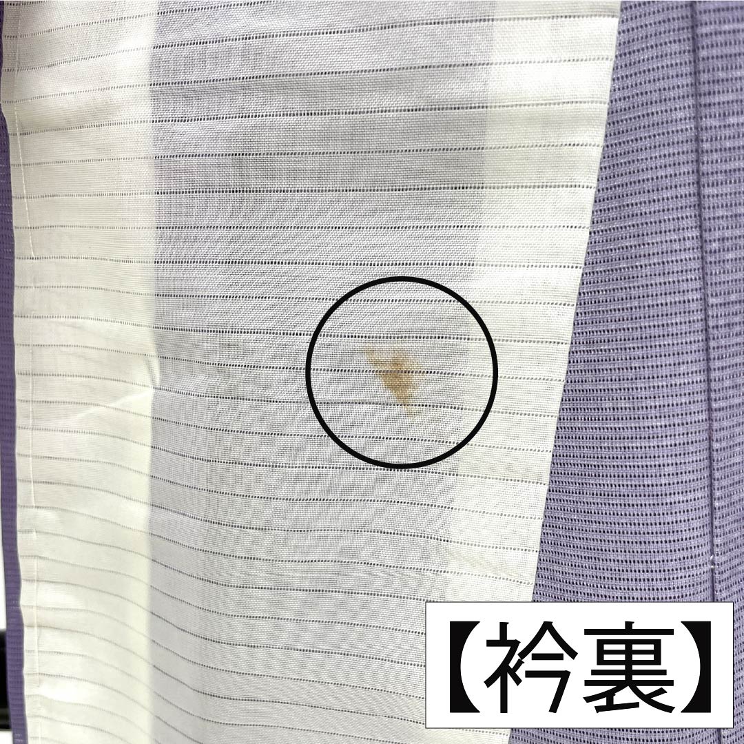 夏物 ポリエステル 訪問着 Bランク 身丈155.5cm 裄丈63cm 紫苑色(しおんいろ) 付下げ 鯉 流水 絽 紫系 1132004474320