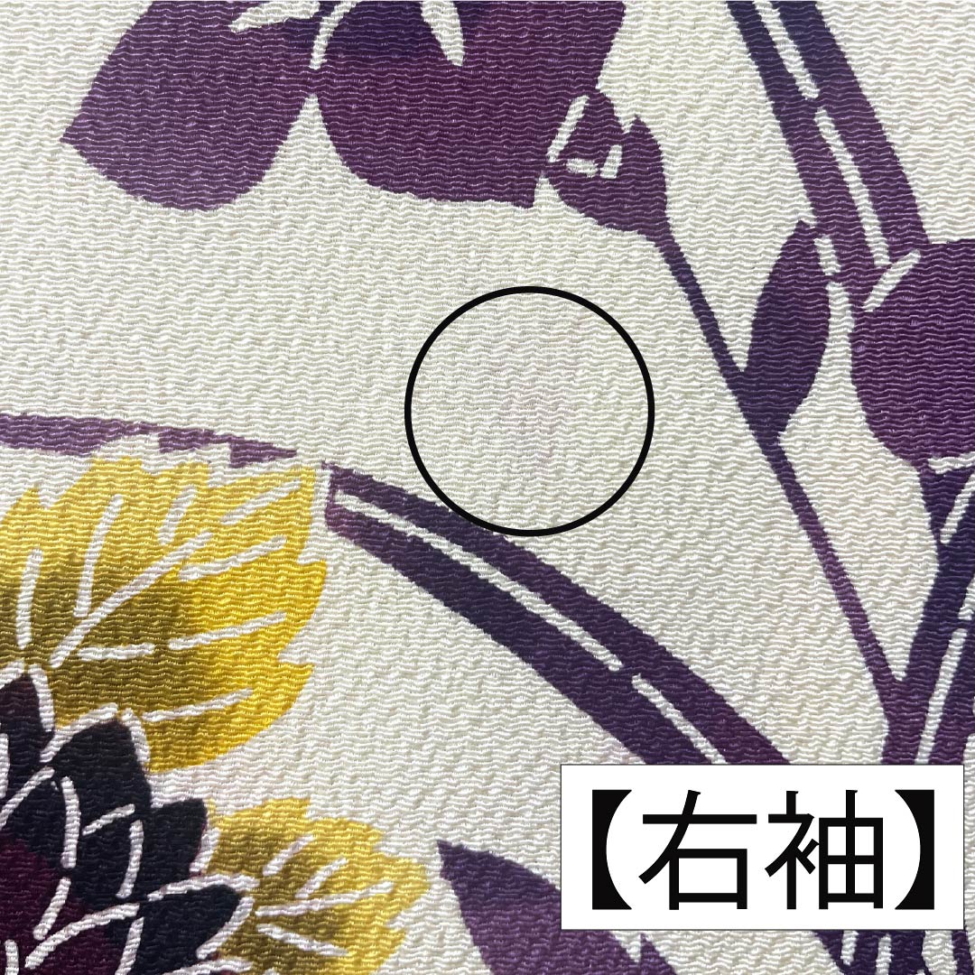 Homongi, pure silk, lined, length 159.5cm, sleeve length 64.5cm, light egg color, Kyoto Bingata, floral pattern, flowing water, B rank, cream color, 1112006064315