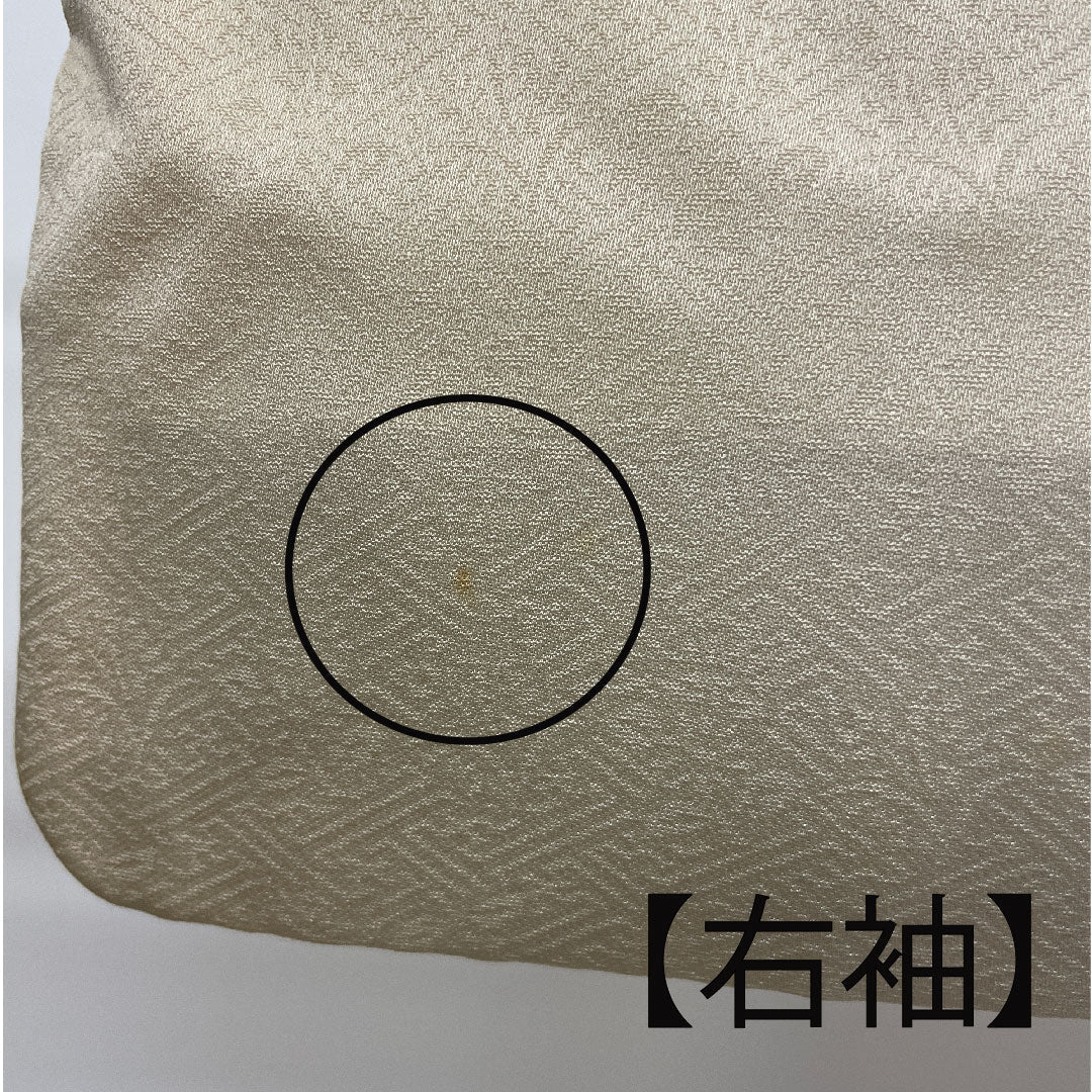 色留袖 身丈157cm 裄丈64cm 袷 東京友禅 正絹 Bランク 三つ紋 クリーム系 1111000284315