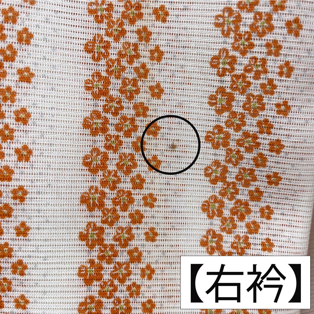 夏物 ポリエステル 小紋 Aランク 身丈167cm 裄丈65cm 洗える着物 小花 縞 絽 白系 1132007113511