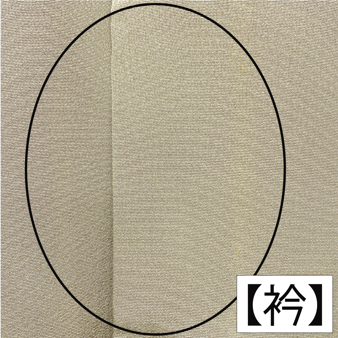 色留袖 正絹 身丈157cm 裄丈63cm 袷 白茶色(しらちゃいろ) 京友禅 作家物 銀閣寺 五つ紋 木瓜 Aランク ベージュ系 1111001553325