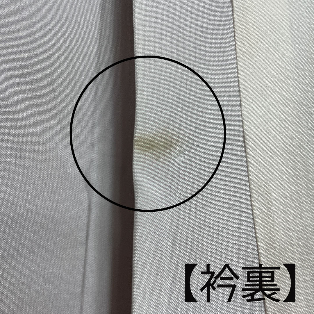 訪問着 袷 身丈156cm 裄丈61cm 薄藤色 茶屋辻模様 正絹 Aランク 紫系 1112001953320