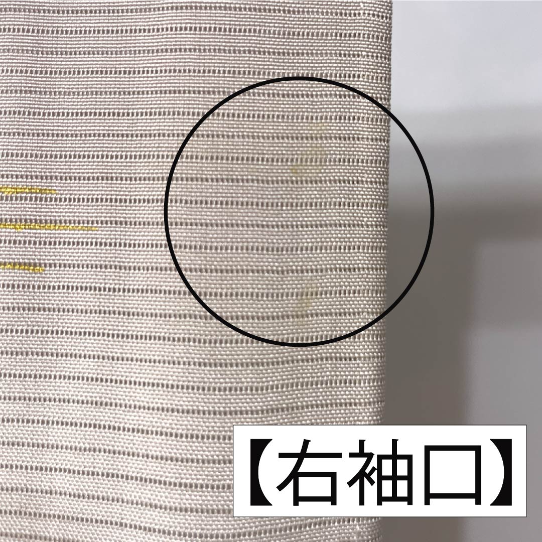 夏物 正絹 訪問着 身丈165cm 裄丈66cm 薄梅鼠色(うすうめねずいろ) 京友禅 金彩 雪輪 絽 Aランク グレー系 1132002033522