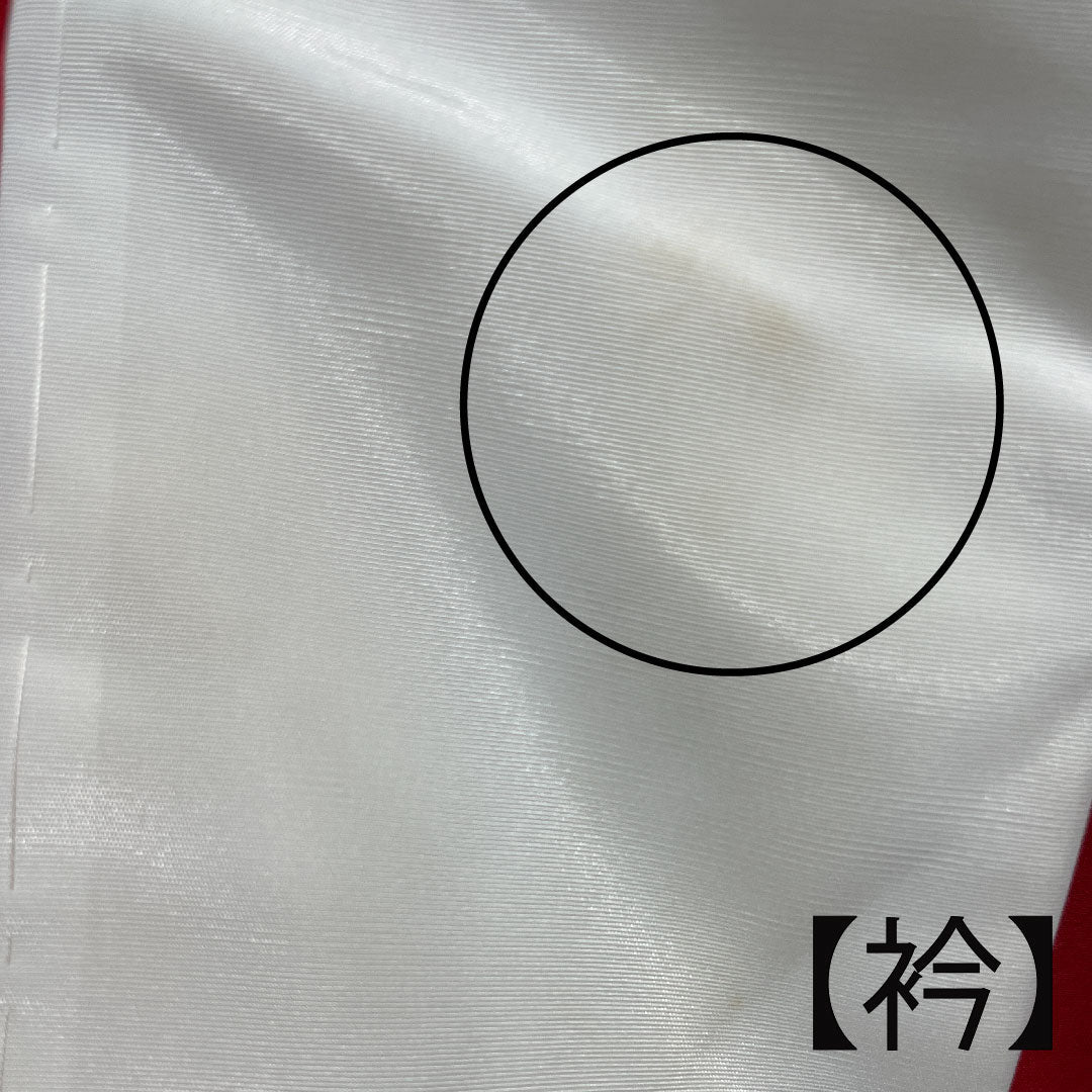 長襦袢 正絹 身丈120cm 裄丈67.5cm 単衣 土耳古赤色 振袖用 梅 Aランク 赤系 1129000293112