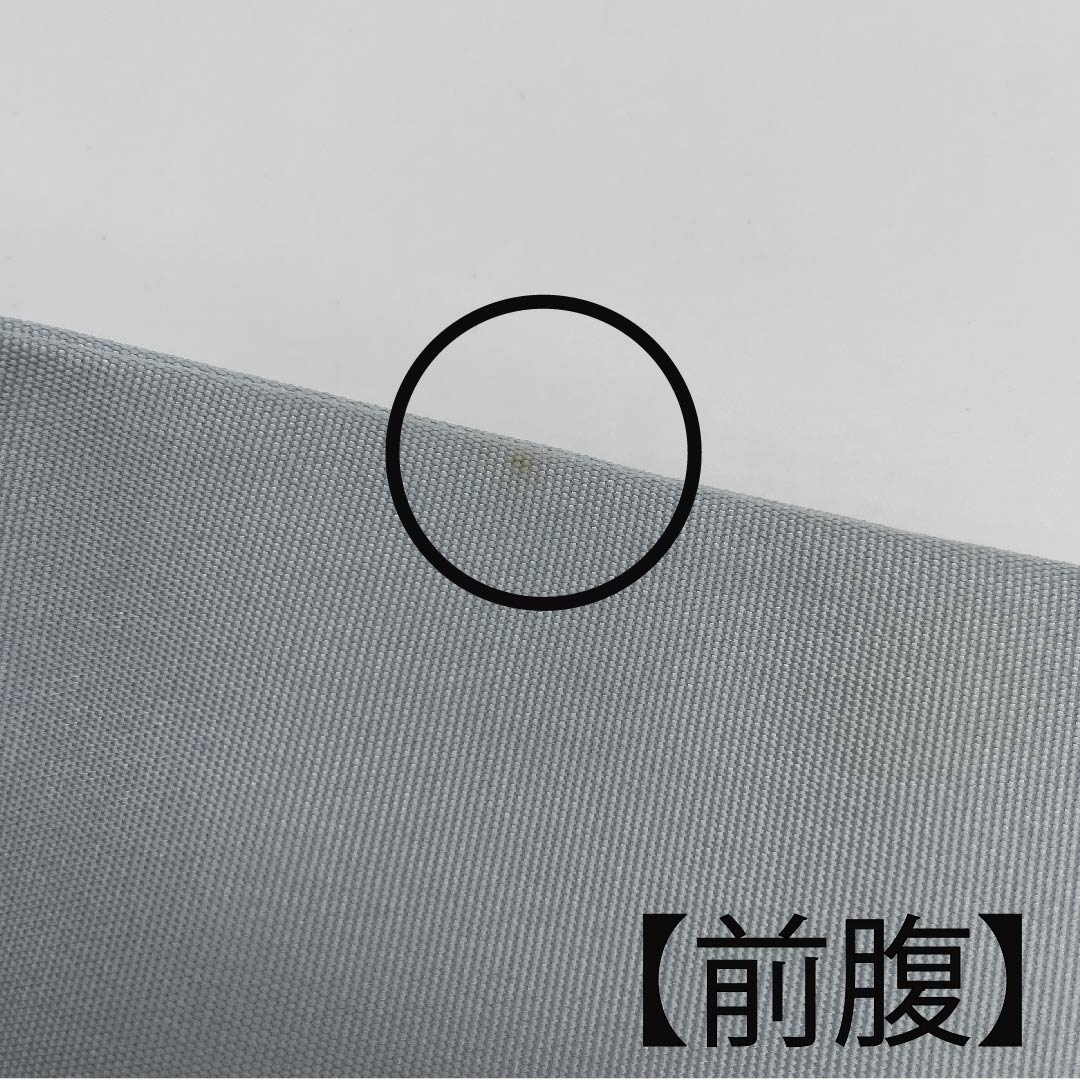 名古屋帯 白藍色 塩瀬 鯉 滝登り 帯丈383cm 正絹 Aランク ポイント柄 カジュアル 水色系 1124005613324 名古屋仕立て