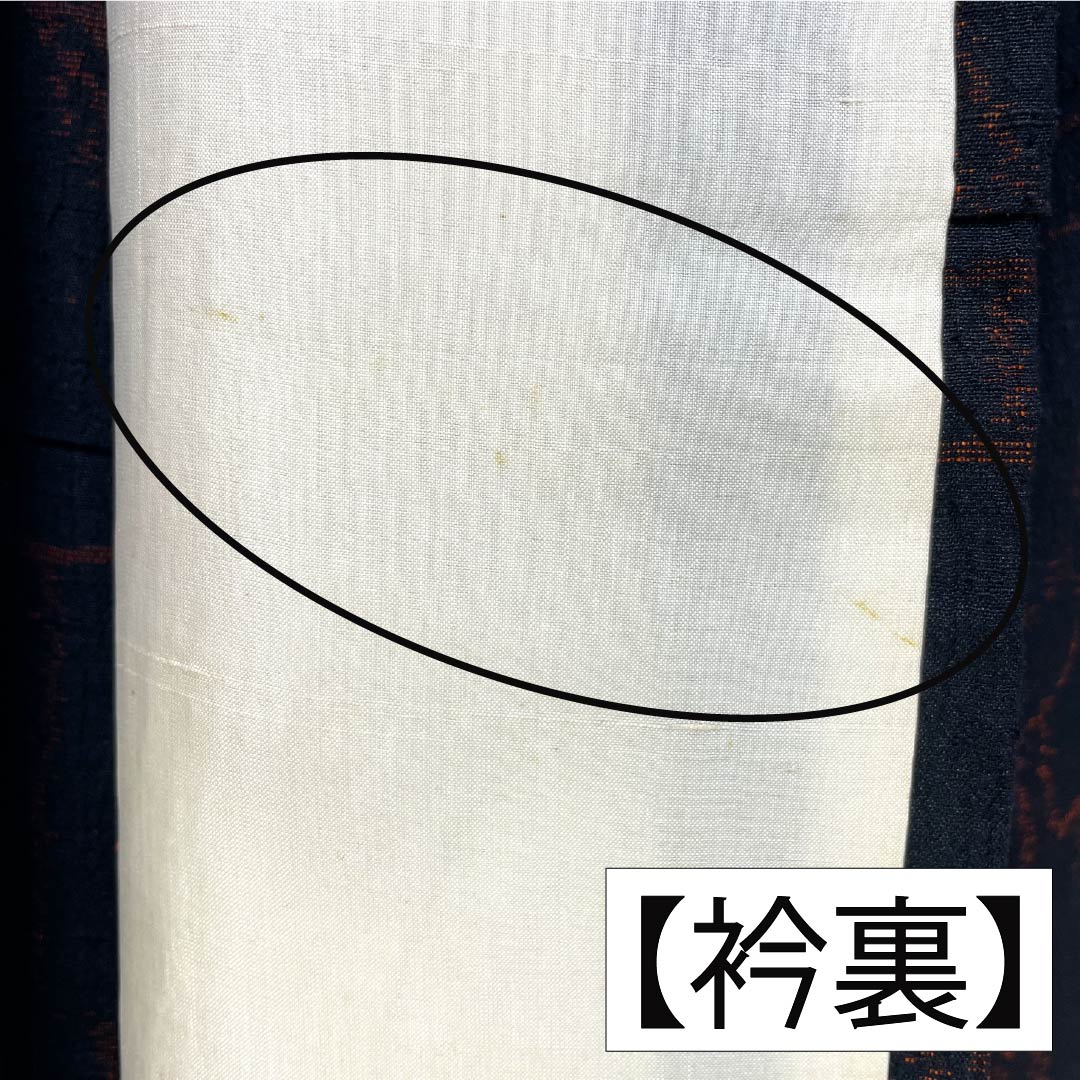 紬 正絹 Aランク 身丈161cm 裄丈63.5cm 縮 花 単衣 黒系 1116004403410