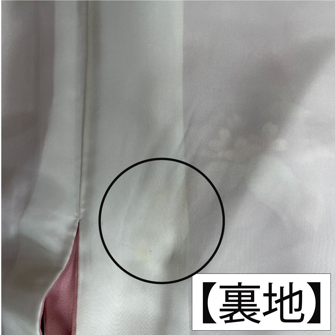 訪問着 正絹 袷 身丈158.5cm 裄丈62.5cm 一斤染色(いっこんぞめいろ) 京友禅 草花模様 一つ紋 丸に沢瀉 Aランク ピンク系 1112004763313