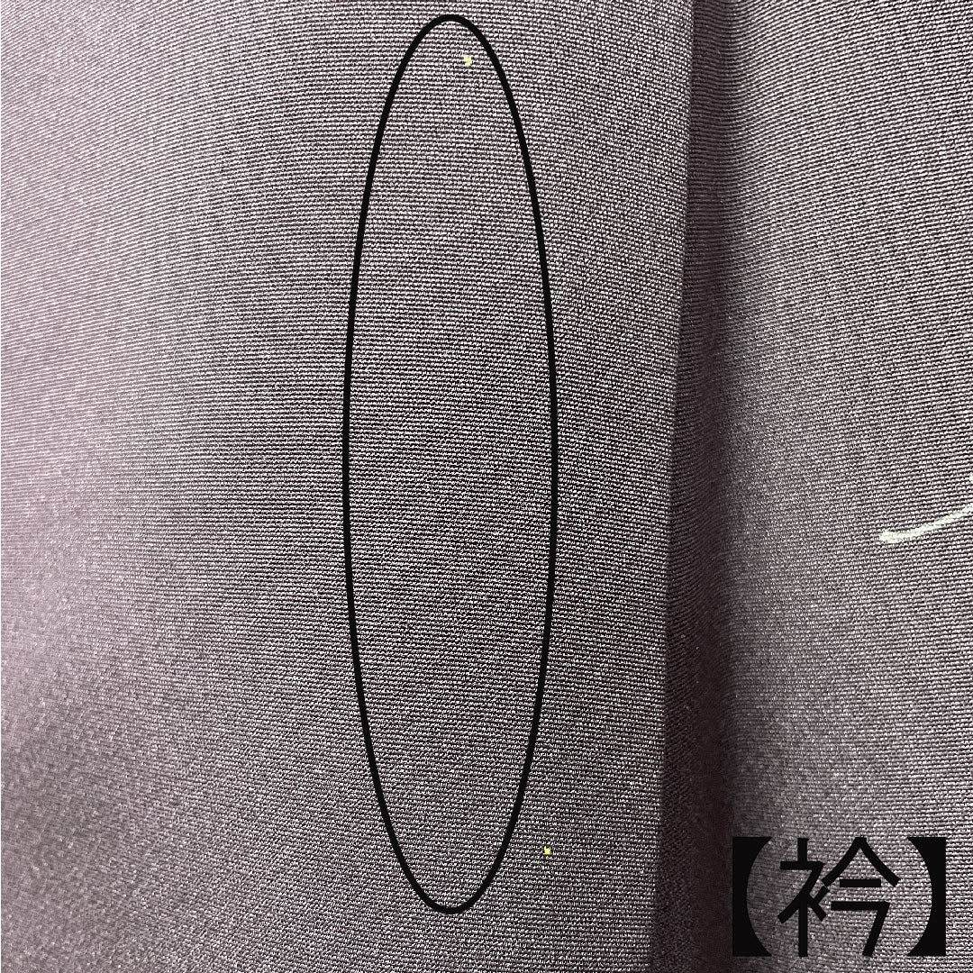 訪問着 袷 身丈164cm 裄丈65cm 紫黒色 作家物 風景模様 正絹 Aランク 紫系 1112002483420