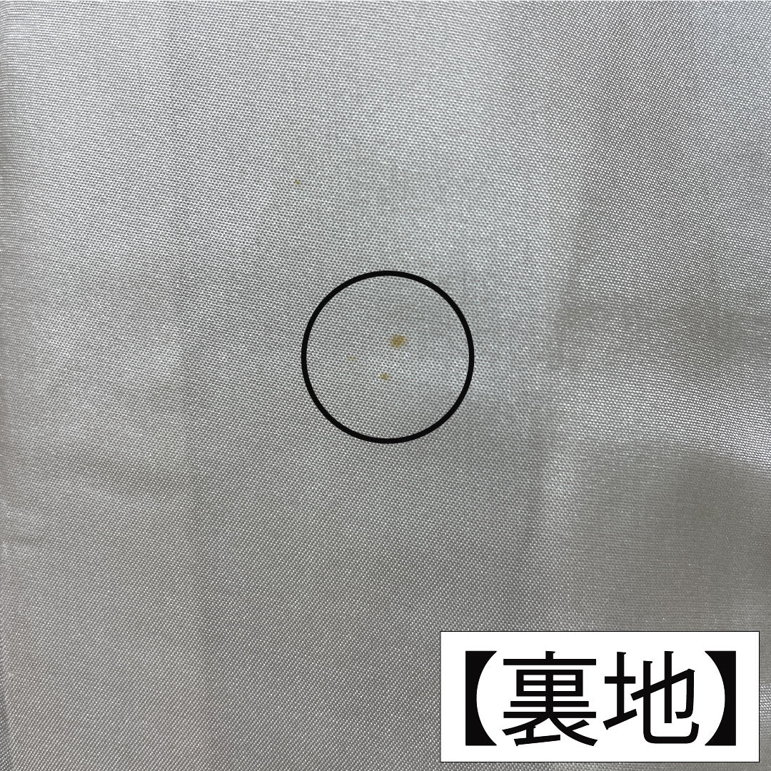 Homongi, pure silk, lined, length 155.5cm, sleeve length 67.5cm, Karakaneiro, Kyoto Yuzen, crepe, floral pattern, A rank, green, 1112005953319