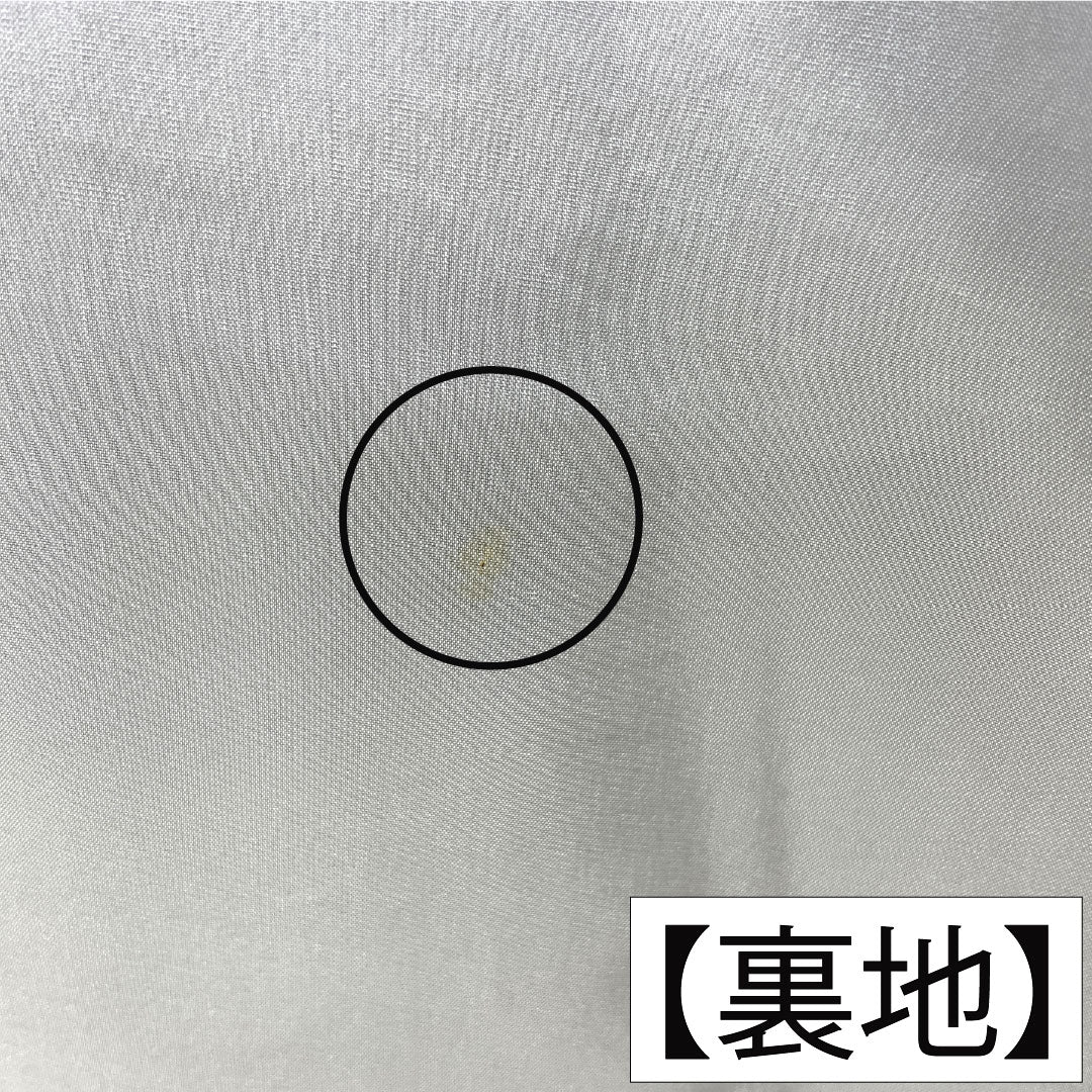 小紋 正絹 Sランク 身丈164.5cm 裄丈64.5cm 袷 小豆茶色(あずきちゃいろ) 辻ヶ花 ザ・スーパーシルク スコッチガード加工 茶系 1115007632414