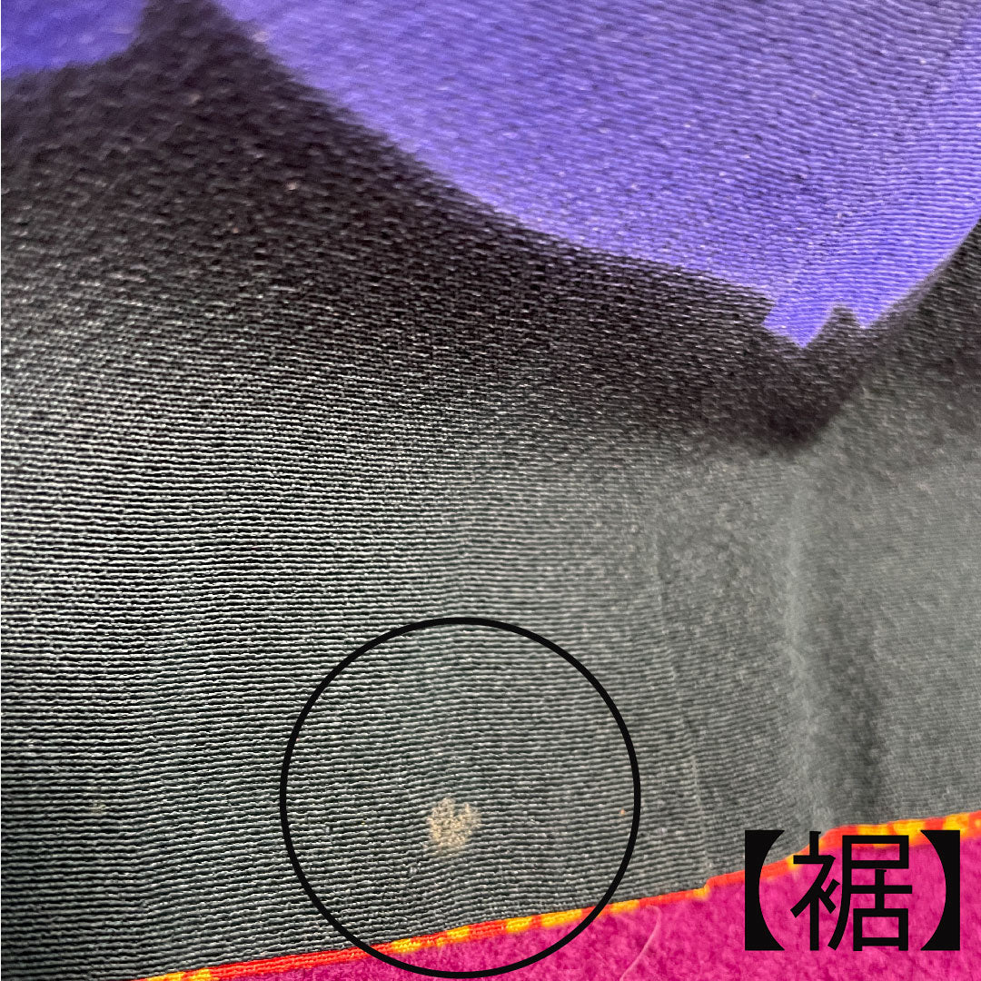 振袖 身丈165cm 裄丈70cm 袷 鉄色 京友禅 花模様 正絹 Aランク 緑系 1113001563519