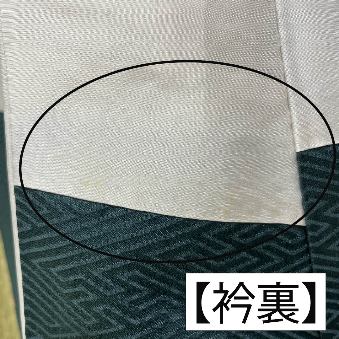 訪問着 正絹 Bランク 袷 身丈160.5cm 裄丈65.5cm 硫黄色(いおういろ) 総絞り 草花 緑系 1112007444419