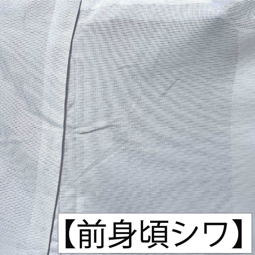 夏物 ポリエステル 付下げ Aランク 身丈165.5cm 裄丈65.5cm 雪色(せっしょく) 洗える着物 唐子模様 絽 グレー系 1132006293522